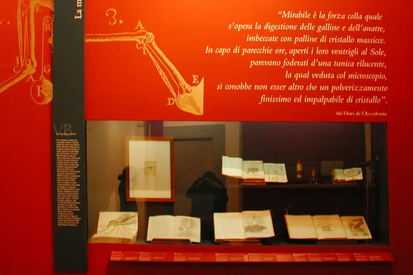 Scienziati a Corte L'Accademia del Cimento (1657-1667)